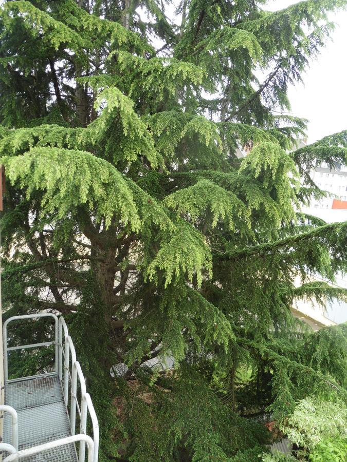 Guest house Gaestehaus Grupello 2*
